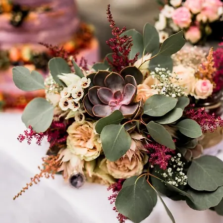 Schlosshotel Elgersburg Hotel