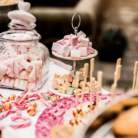 埃尔格尔斯堡斯罗斯酒店 4* Elgersburg