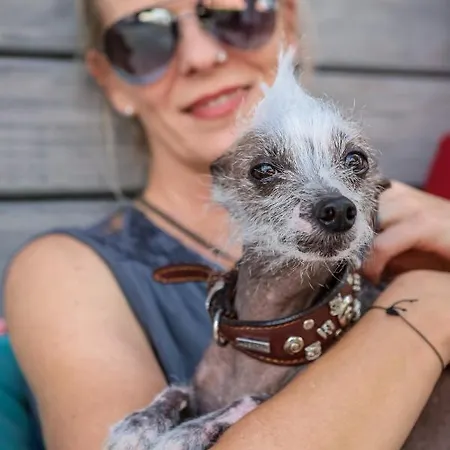 酒店 埃尔格尔斯堡斯罗斯酒店