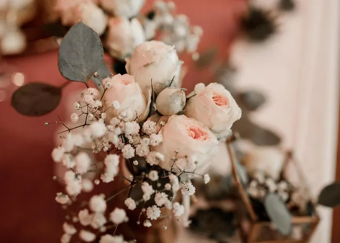 Schlosshotel Elgersburg Hotel 4*