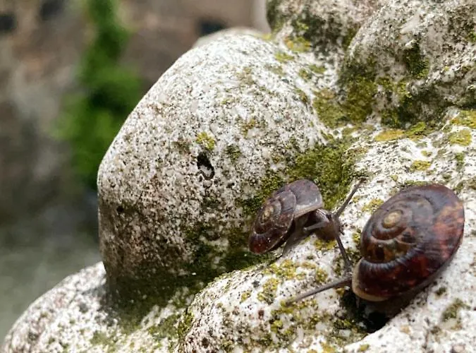 Schlosshotel Elgersburg Elgersburg