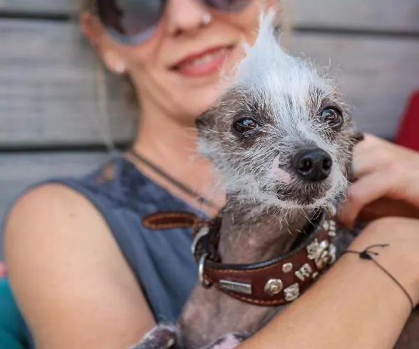 Hotel Schlosshotel Elgersburg